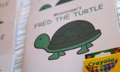 Fred the Turtle