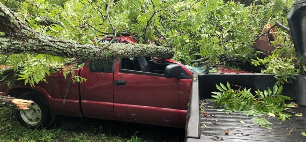 A red truck was crushed by the fallen tree. Photo by David Day
