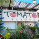 Tomato Place