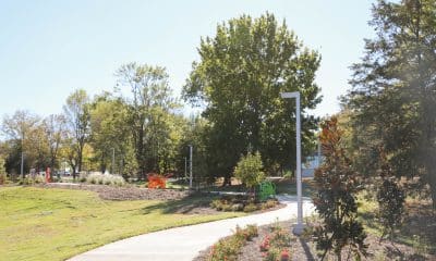 Magnolias at the Mississippi Children's Museum