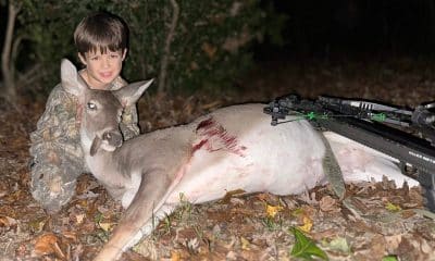 Brock Fields and deer