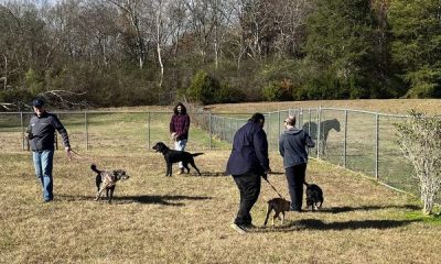 This group of UMMC doctors volunteered for a day with the dogs of the Mississippi Animal Rescue League.