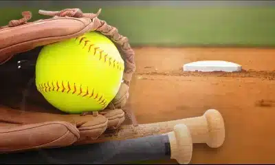 generic softball
