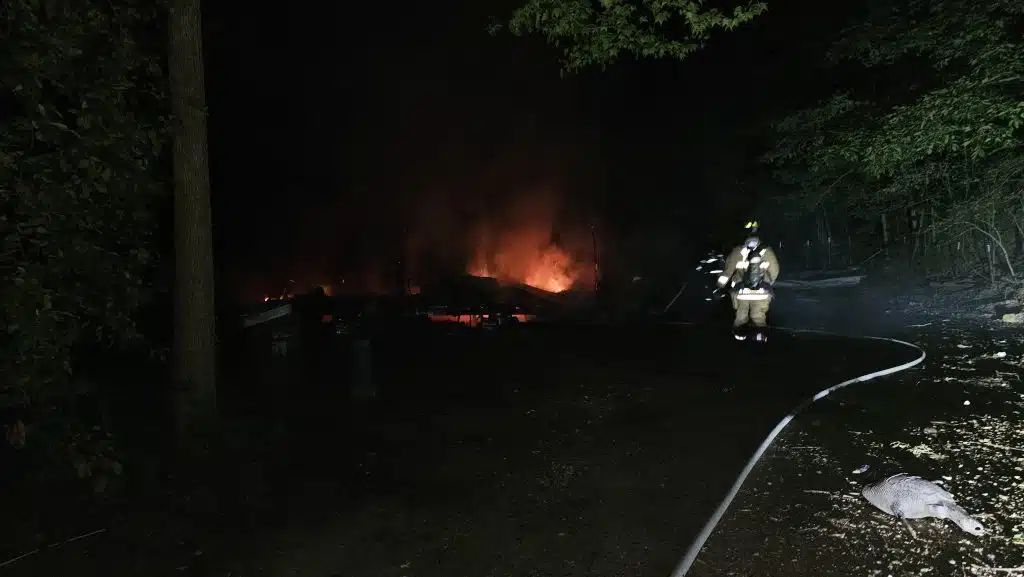 fire jeff davis