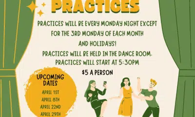 Line dancing practice