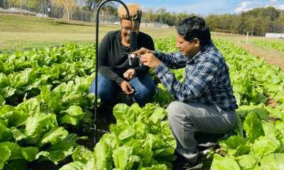 Source: Alcorn State University