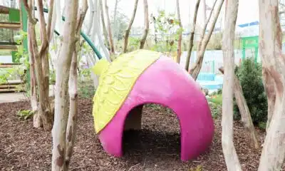 Source: Ms Children's Museum — Mississippi Children's Museum garden exhibit