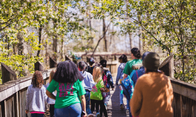 MS Museum of natural science