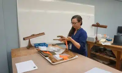 Miranda Noland, federal collections manager for the Mississippi Department of Archives and History, examines metal objects from Windsor Ruins, an historic site of the Windsor plantation in Claiborne County destroyed by fire in 1890. Credit: Courtesy of Mississippi Department of Archives and History