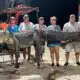 Near-record gator caught by Mississippi hunters on opening day