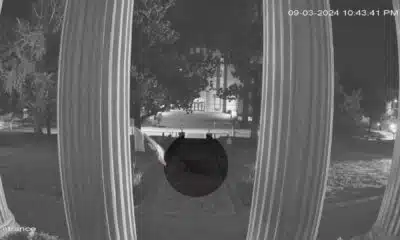 Black bear spotted in Vicksburg. Screennshot taken from Oldcourthouse Museum Facebook post