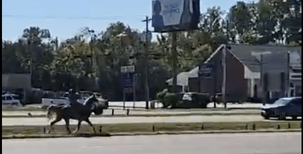 man on horseback on I-20