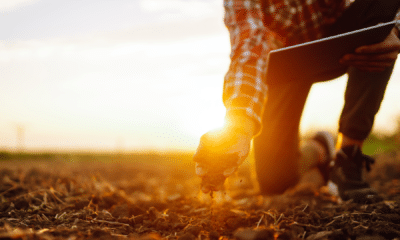 Farm Bill (Adobe Stock)