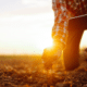 Farm Bill (Adobe Stock)