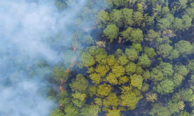 Wildfire Prevention Month overhead view of wildfire