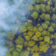 Wildfire Prevention Month overhead view of wildfire