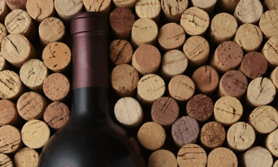 Direct to consumer wine shipping now available in Mississippi (Adobe Stock)