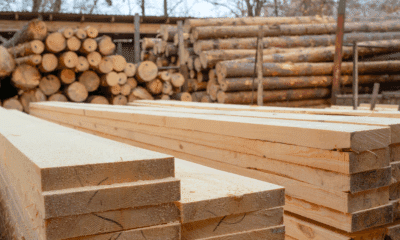 Hardwood (Image Adobe Stock)