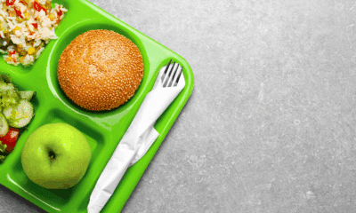 School lunch and breakfast (Adobe stock)