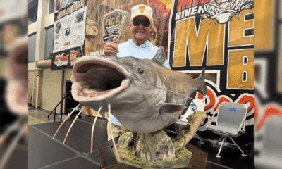 Bill Dance catfish replica
