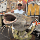 Bill Dance catfish replica