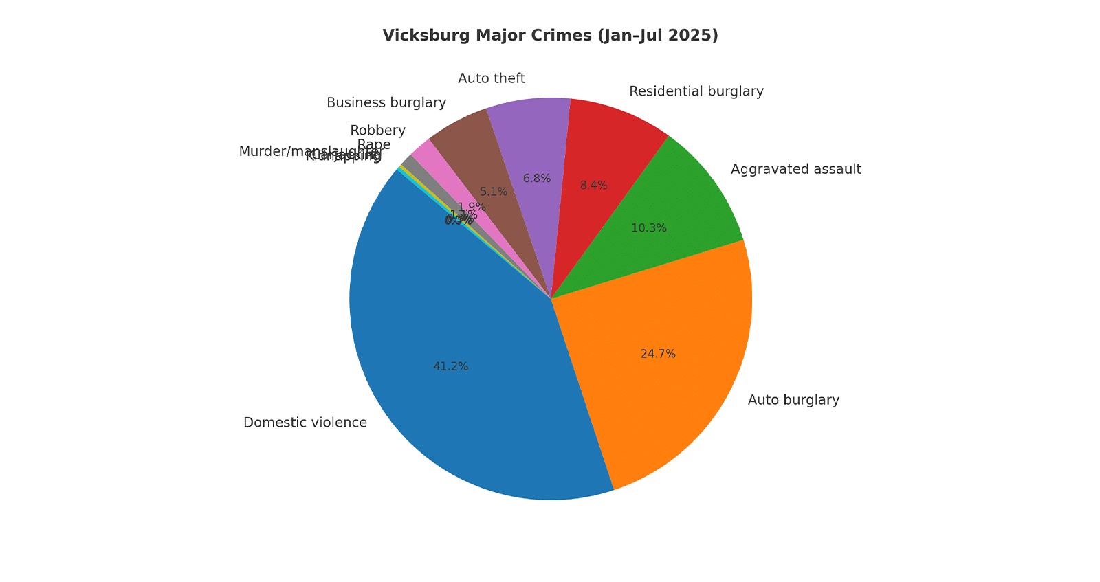 Domestic violence outweighs all other crimes in Vicksburg’s 2025 totals