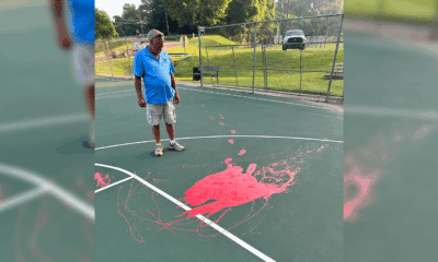 Fuzzy Johnson Park vandalism