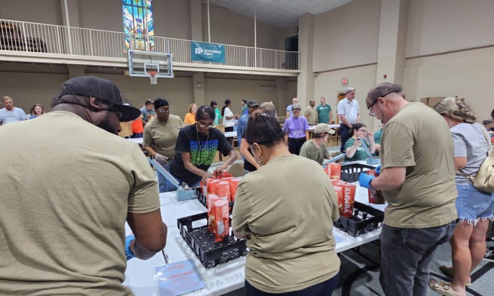 volunteers feed
