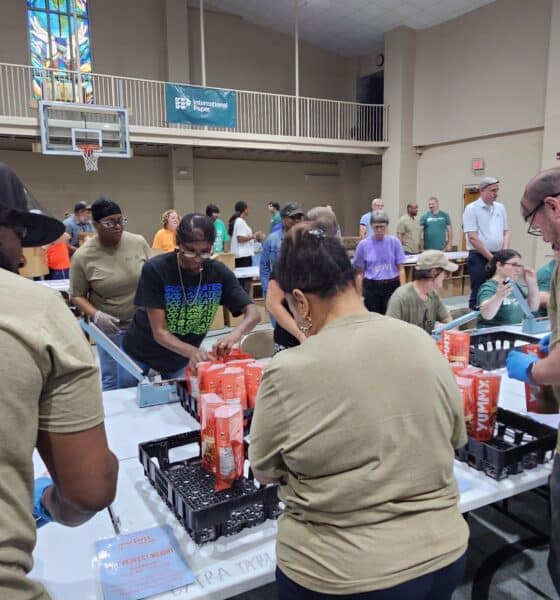 volunteers feed