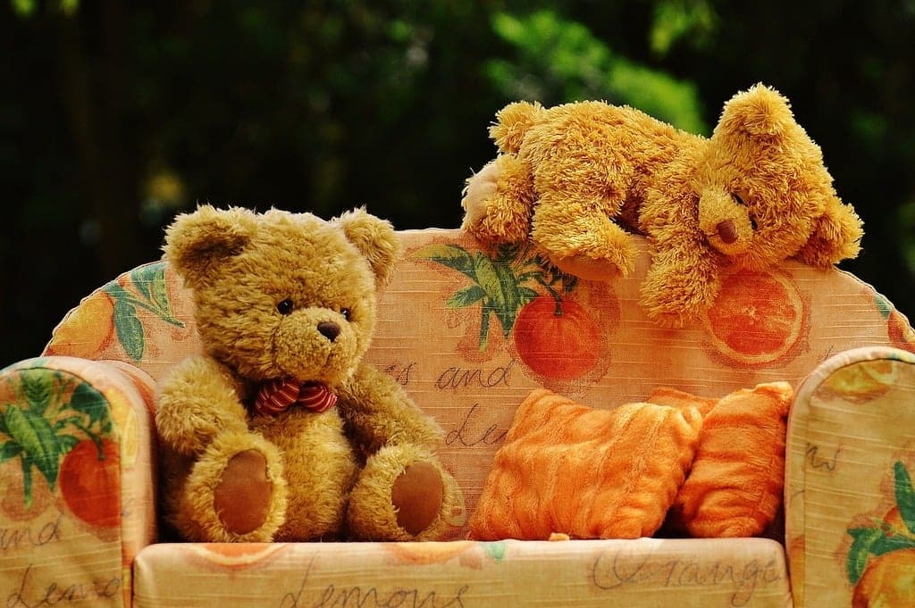 teddy bear