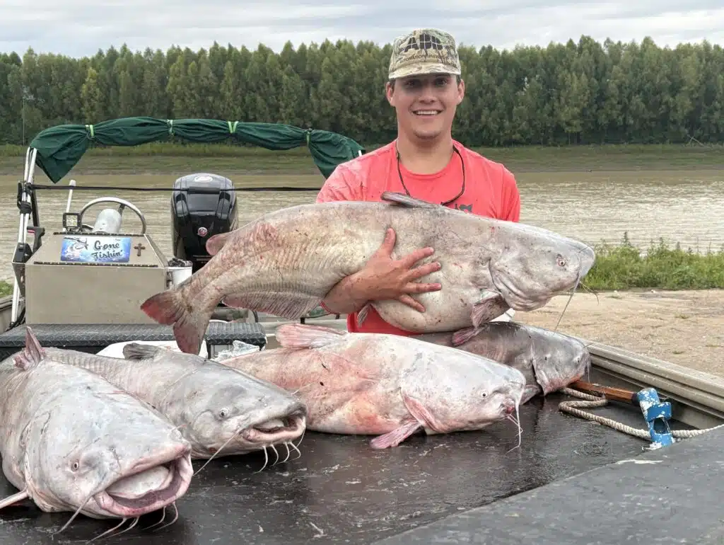 Vicksburg native reels in five huge catfish on the Mississippi