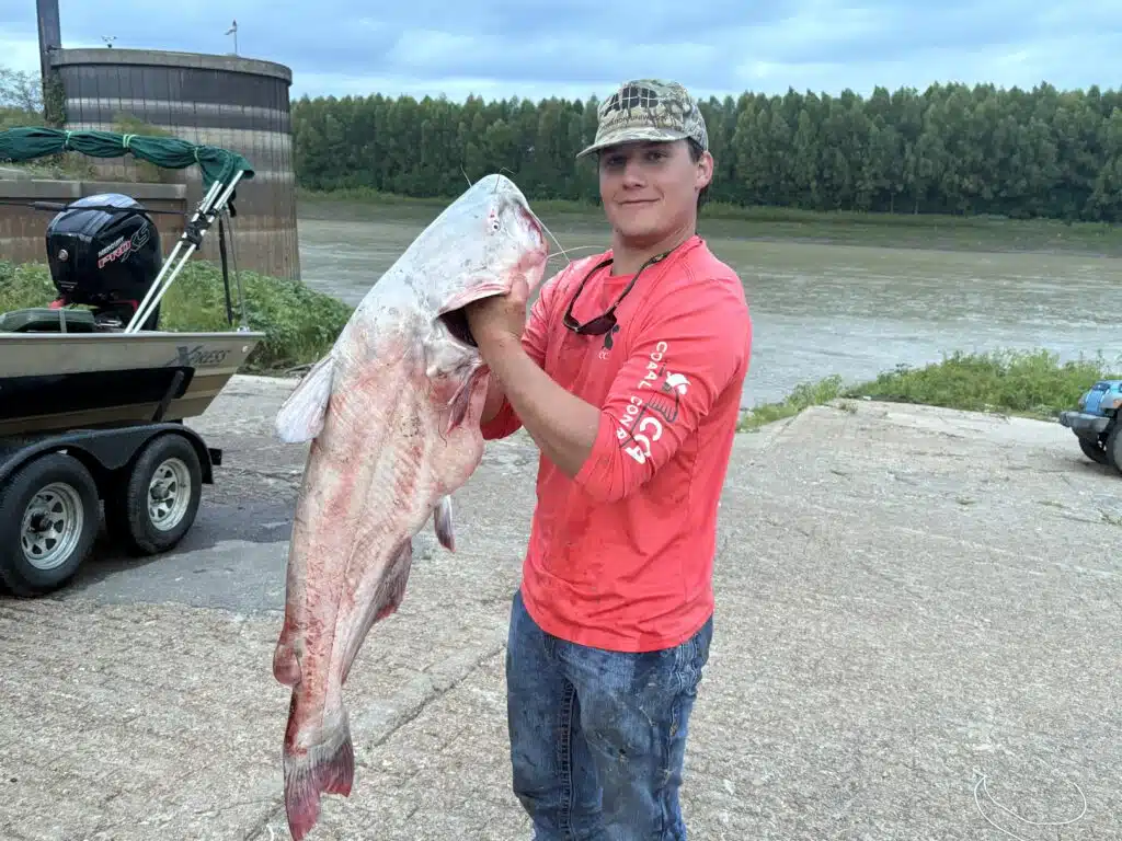 Vicksburg native reels in five huge catfish on the Mississippi