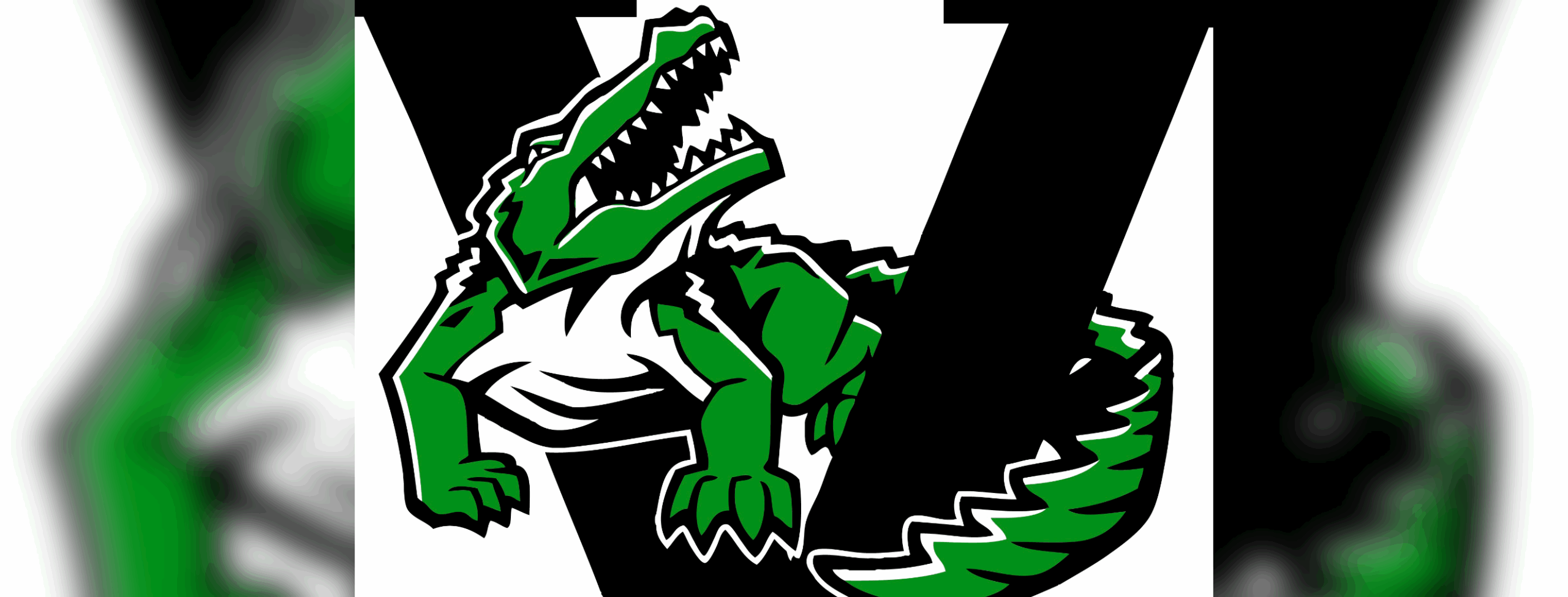 VHS football logo