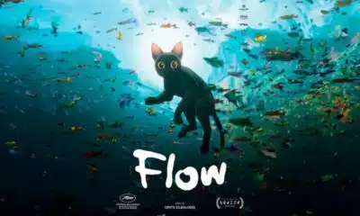Flow