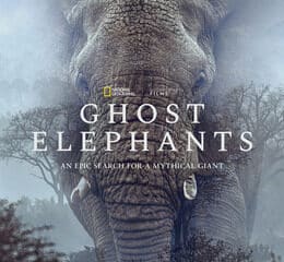 ghost elephants