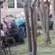 Classics in the courtyard 2025