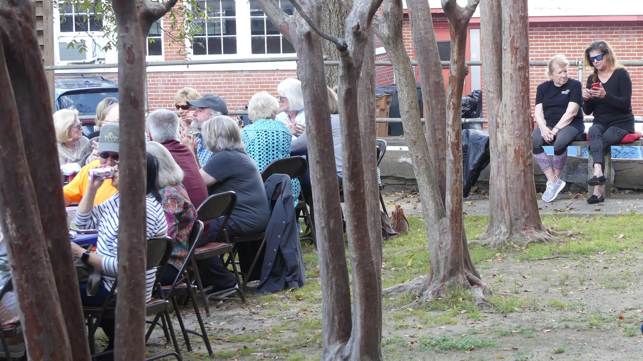 Classics in the courtyard 2025