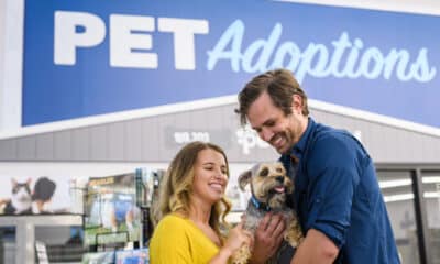 Petsense Stores Branding Shoot by Heather Durham Photography