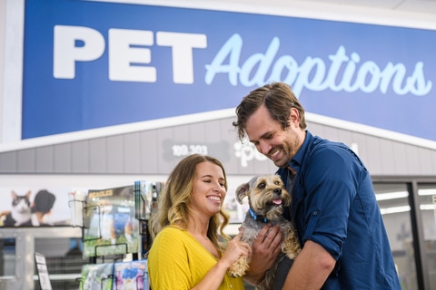 Petsense Stores Branding Shoot by Heather Durham Photography