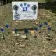 Pinwheels