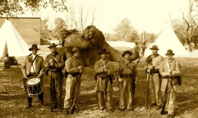 Douglas the camel