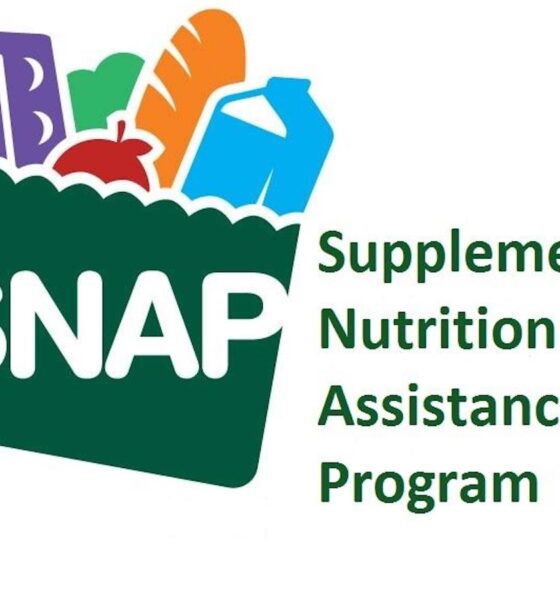 Snap. logo