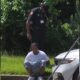 VPD arrests Rankin