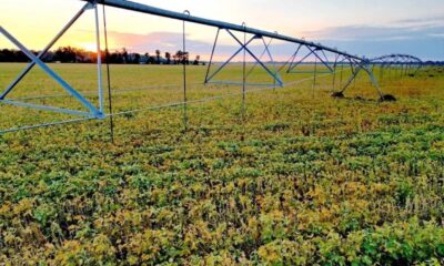 farm land