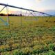 farm land