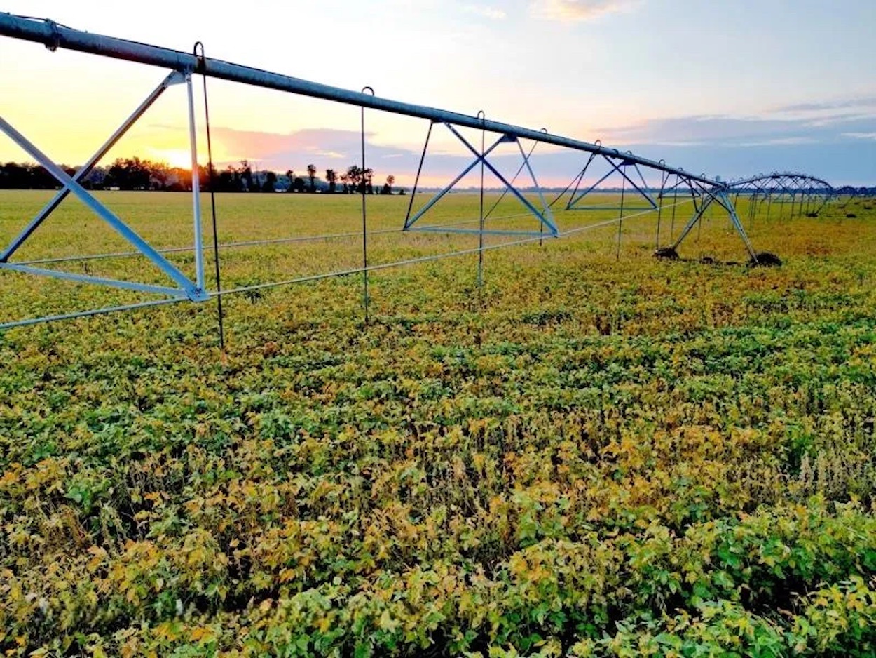 farm land