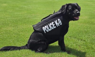 k9