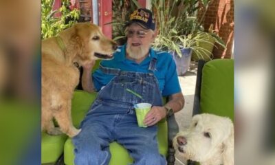Wayne Chandler Bonelli