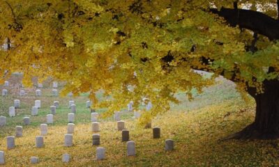 national cemetery