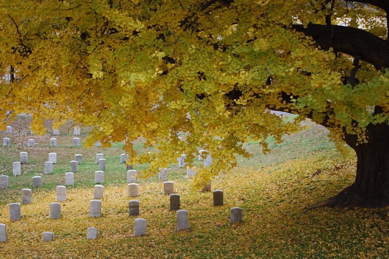 national cemetery